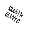 B12 (Special) Rear Suspension Kit (For 1.75in Lift) — 13-18 Toyota Land Cruiser