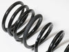 200 1.75in Dual Rate Rear Spring Kit — 2008+ Toyota Land Cruiser