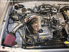 2.4L 4 Cyl. PreRunner 2.7L 4 Cyl. only Wrinkle Black Power-Flow A — 00-04 Toyota Tacoma