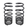 Prado 250 Coil Spring - Rear — 2024 Toyota Land Cruiser