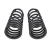 Prado 250 Coil Spring - Rear — 2024 Toyota Land Cruiser