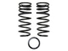 200 1.75in Dual Rate Rear Spring Kit — 2008+ Toyota Land Cruiser